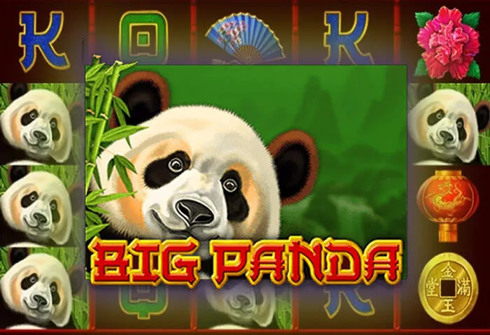 Rainbet customer support representative assisting a player with their casino queries.