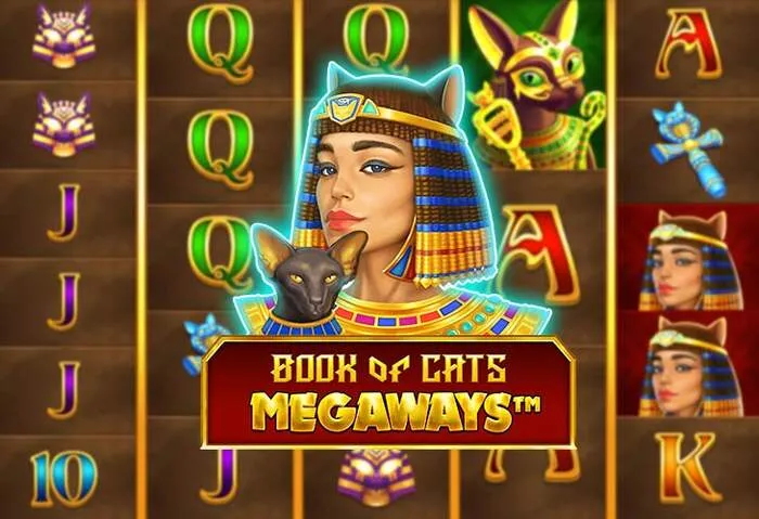 Play games, Rainbet casino win real money.
